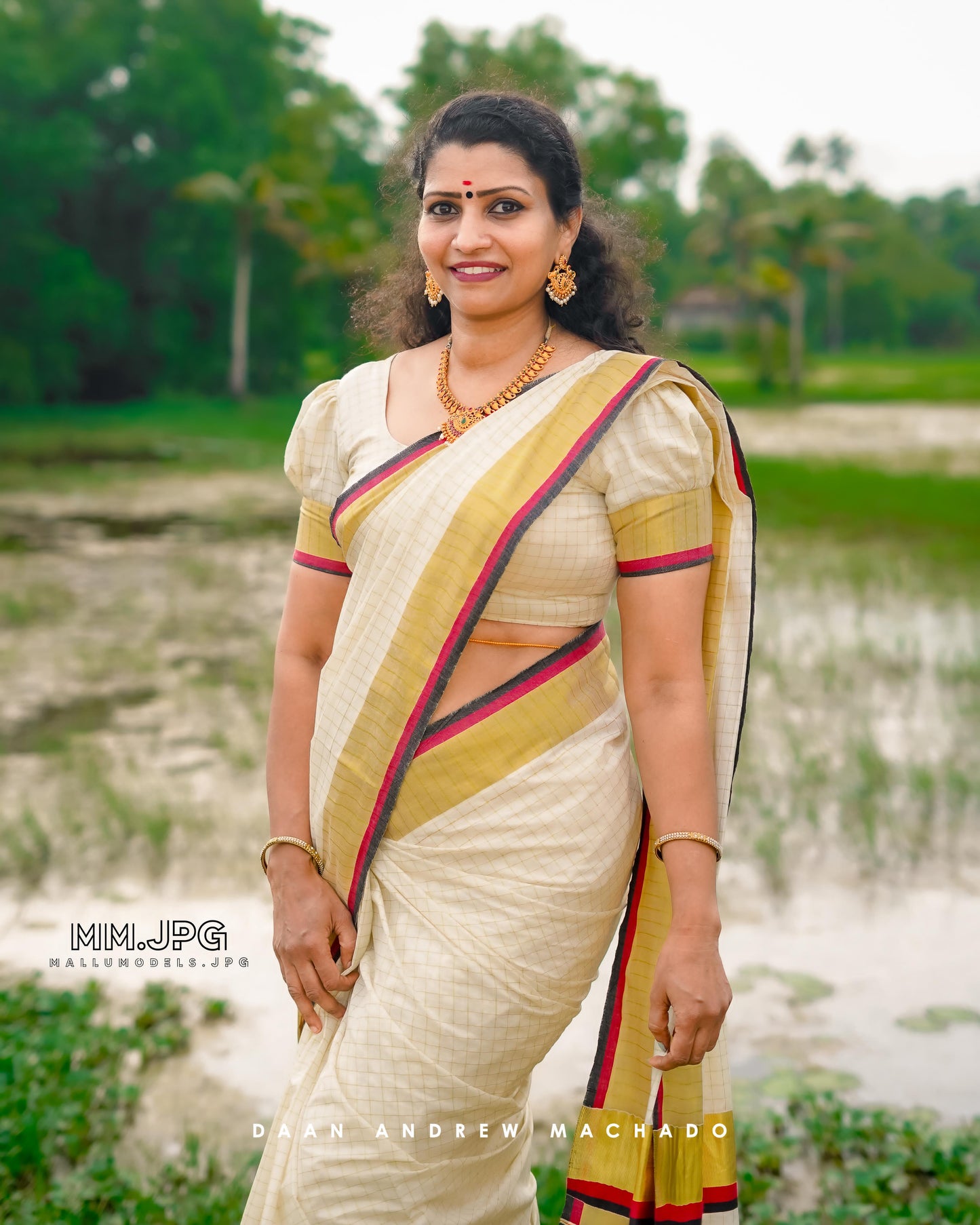 Premium check color border saree handloom replica