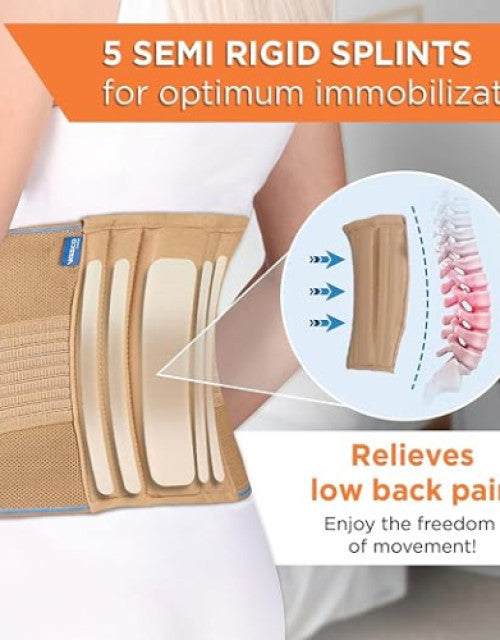 Lumbar Support (Deluxe C-75)  (S/M/L)