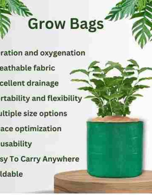 Organic Mix Varieties 100 Pieces Seeds With 5 Pieces Grow Bag