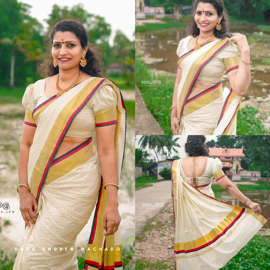 Premium check color border saree handloom replica