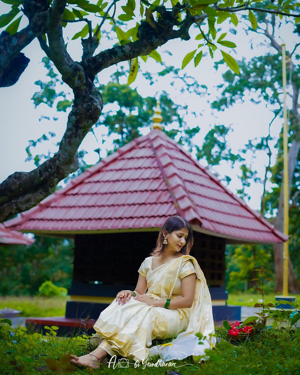 Nelkathir embroiderd cotton saree