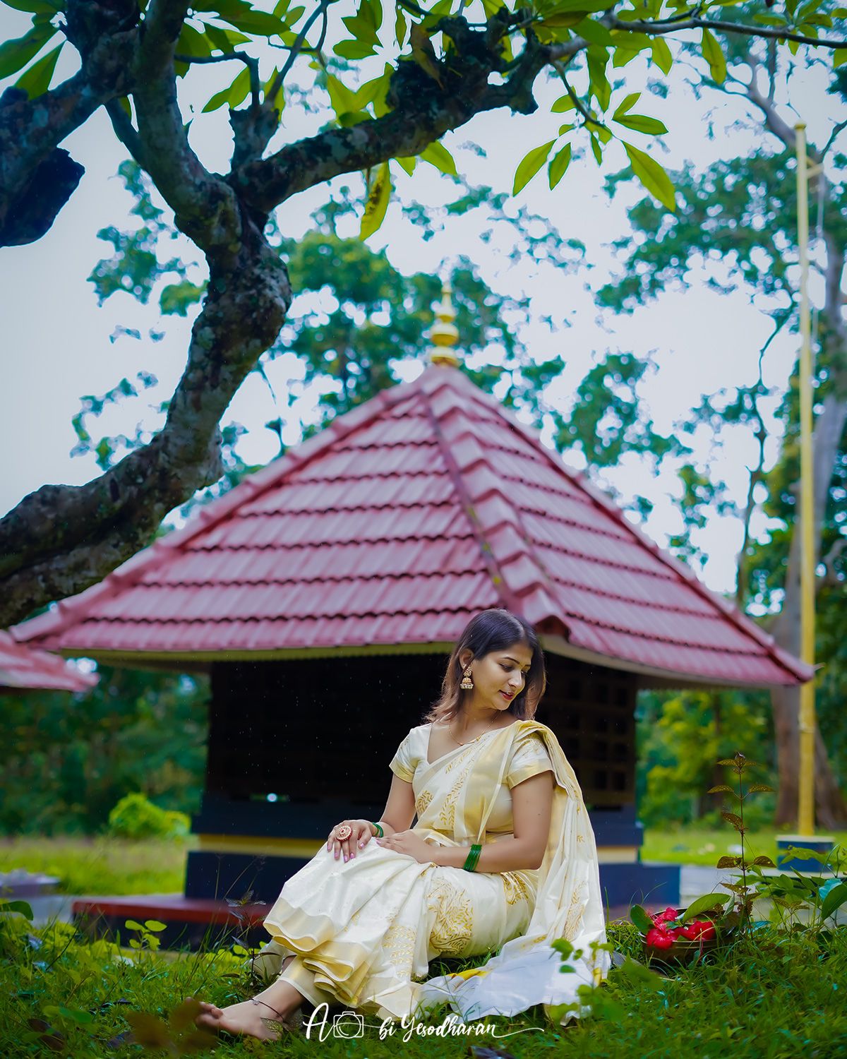 Nelkathir embroiderd cotton saree