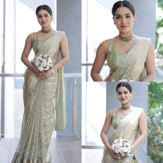 Sanyia iyppan organza saree