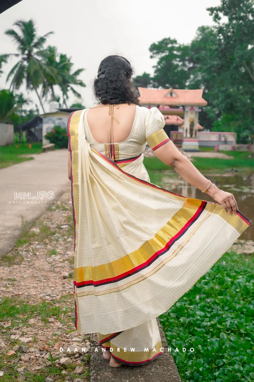 Premium check color border saree handloom replica